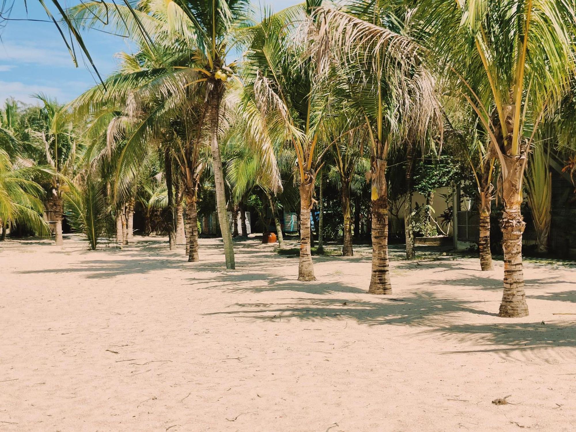 Coco Beachcamp La Gi Otel Dış mekan fotoğraf